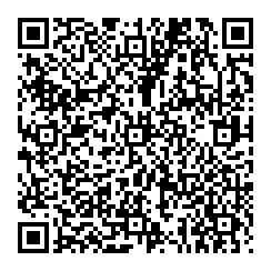 QR Code 1